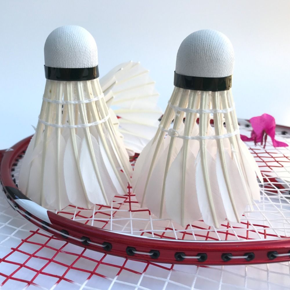 3/6/12Pcs New White Badminton  - Feather Shuttlecock 评论和价格